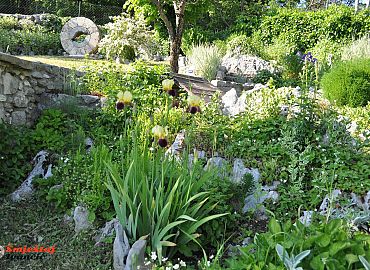 Botanički vrt Ivančić Botanički vrt Ivančić