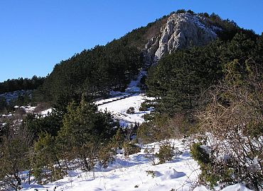 Ćićarija zimi Ćićarija zimi