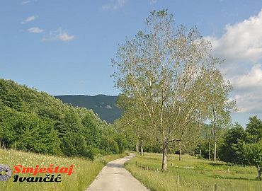 Istarske bicikilističke rute, ruta 5 izvora na Ćićariji Istarske bicikilističke rute, ruta 5 izvora na Ćićariji