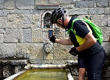 Jos jedna zlatna ribica Jos jedna zlatna ribica