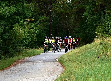 Kakva ovo ekipa izlazi iz sume Kakva ovo ekipa izlazi iz sume