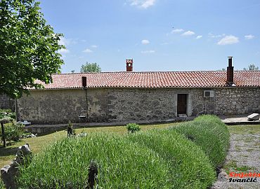 Pogled na kuću preko grma lavande Pogled na kuću preko grma lavande