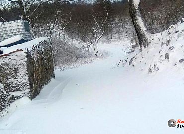 Priroda u zimskom periodu Priroda u zimskom periodu