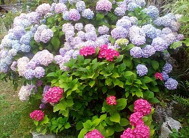 Proljeće je opet došlo Proljeće je opet došlo