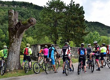 Prvi izvor u Bresti ispd Zbevnice Prvi izvor u Bresti ispd Zbevnice