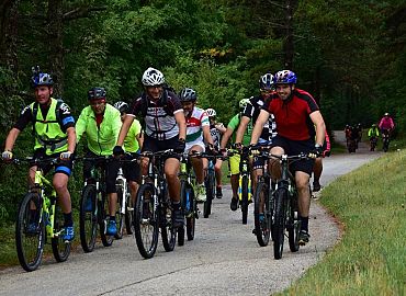 Vozilo se u koloni Vozilo se u koloni