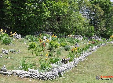 Vrt perunika Vrt perunika