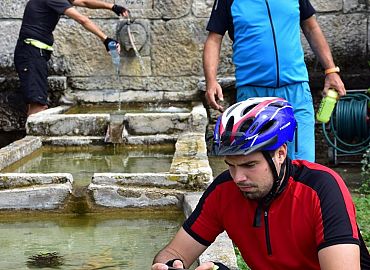 Zlatne ribice Zlatne ribice